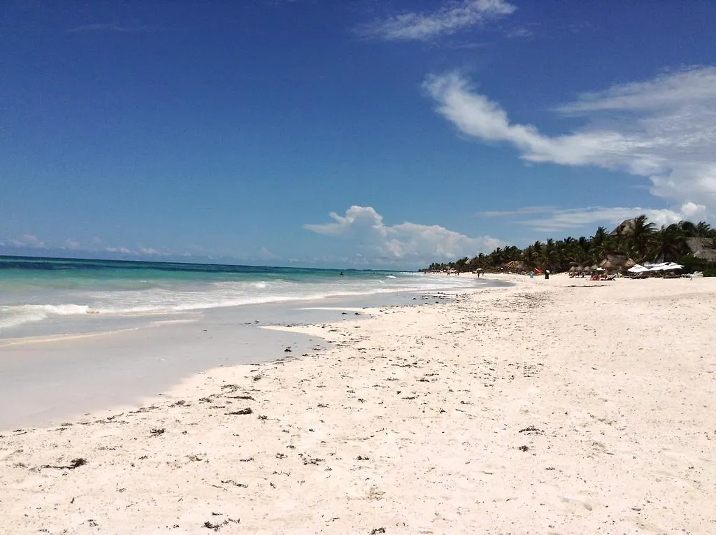 Lodge El Caracol Tulum Hotel Mexico