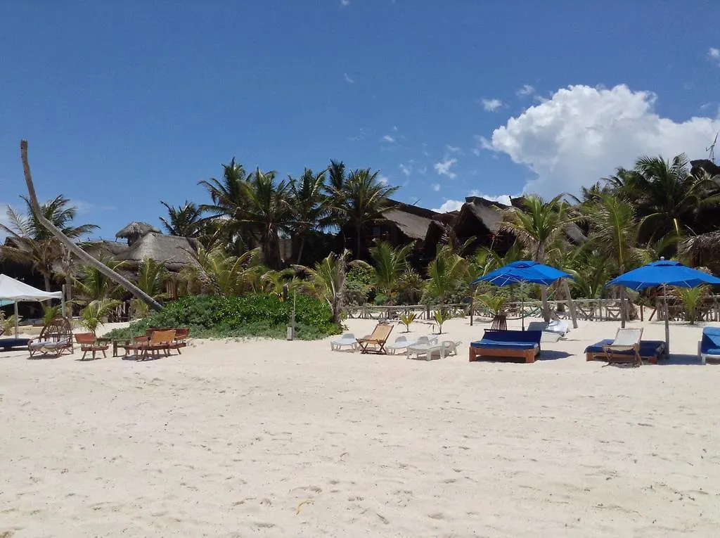 Lodge El Caracol Tulum Hotel