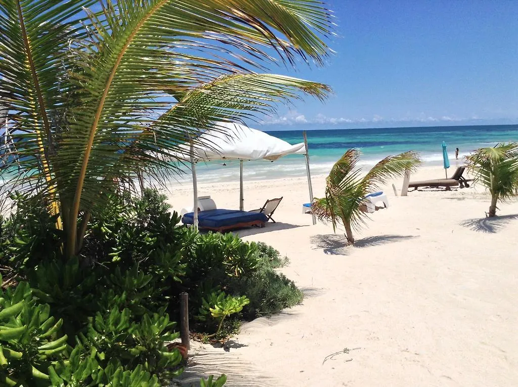 El Caracol Tulum Hotel Mexico