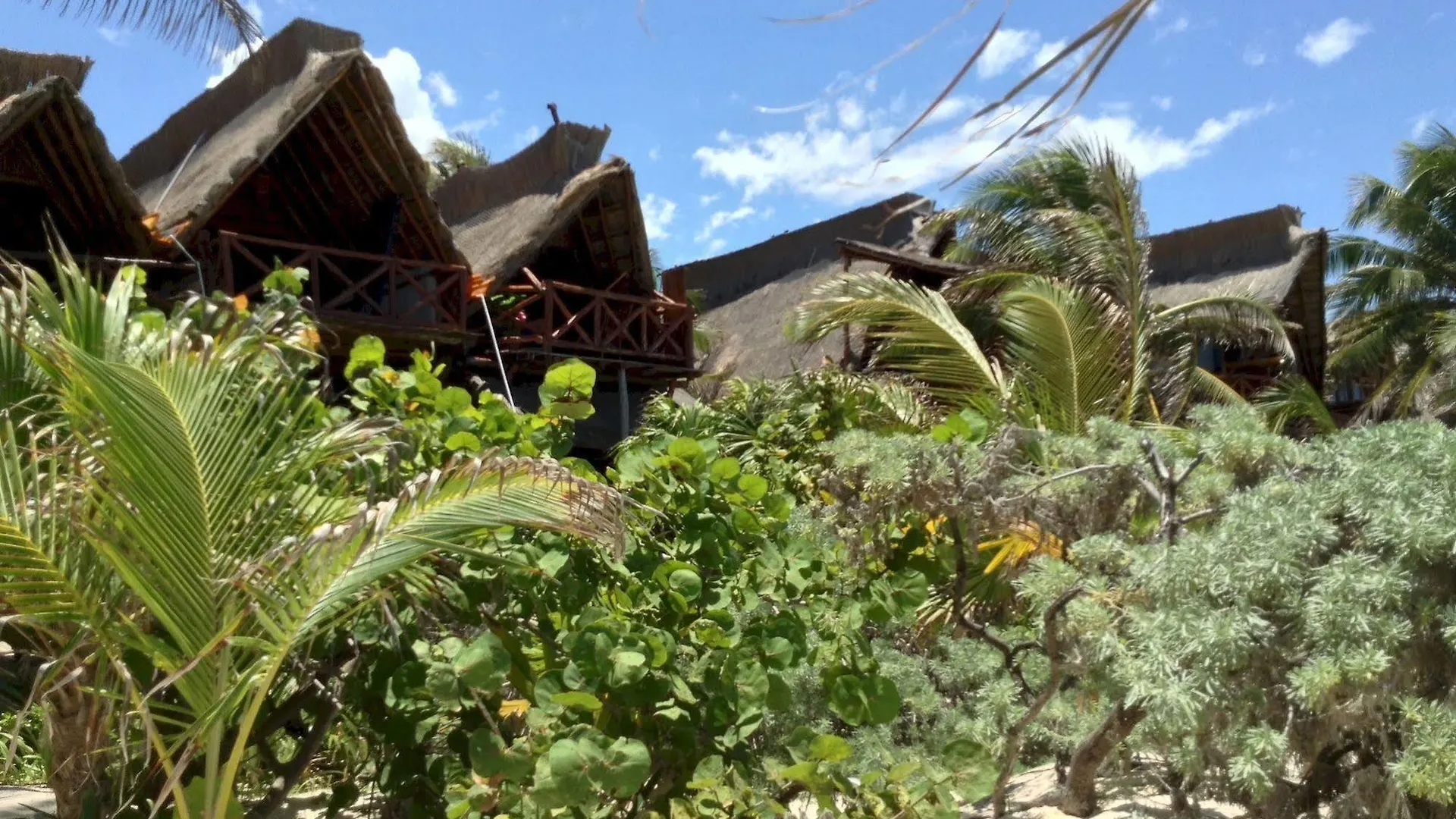 Lodge El Caracol Tulum Hotel