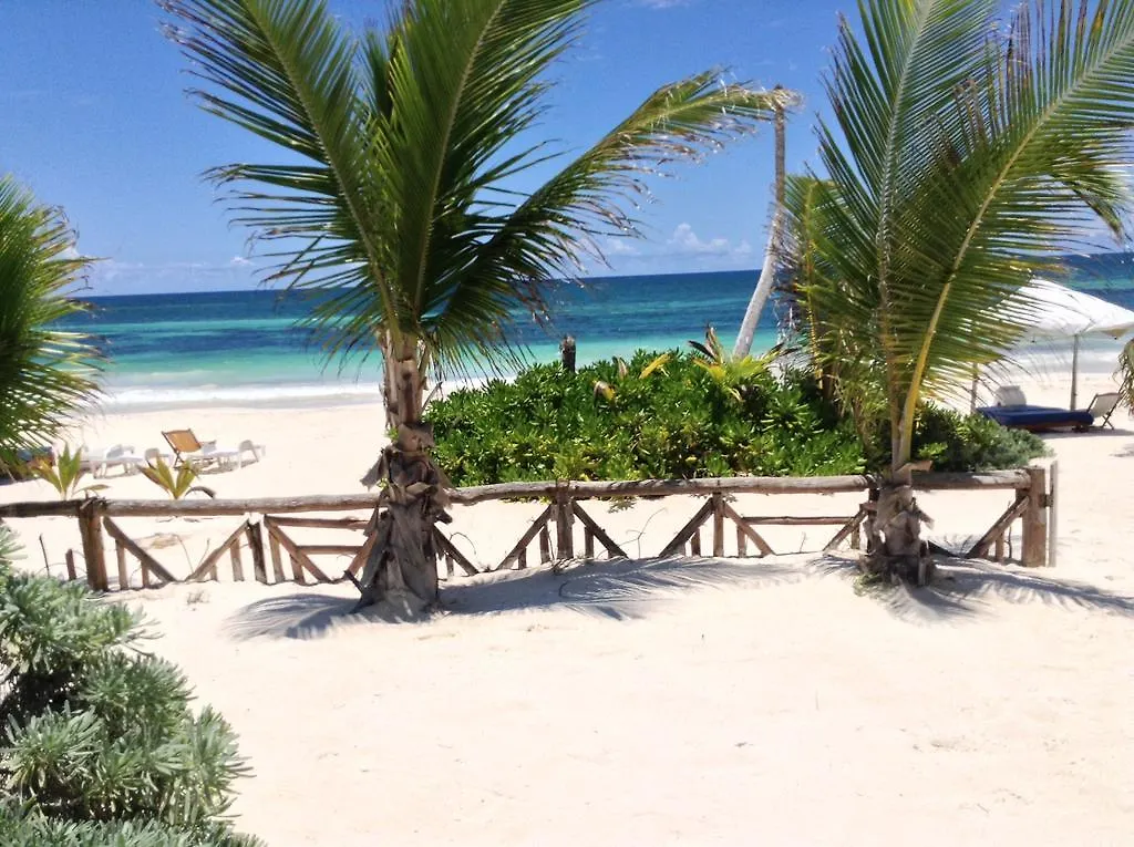 Hotel El Caracol Tulum 0*,  Mexiko