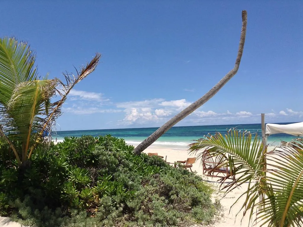 Hotel El Caracol Tulum Mexiko