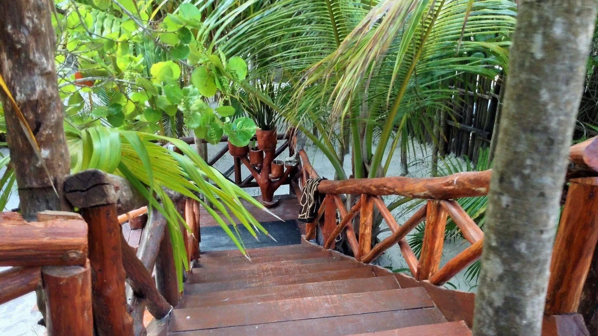 Hotel El Caracol Tulum 0*,  Mexiko